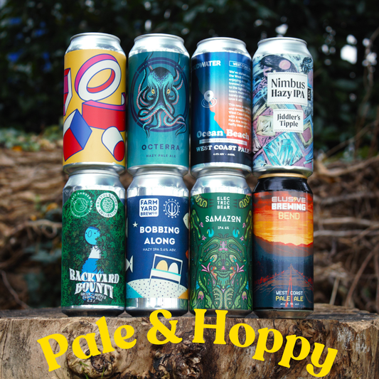 November 2024: Pale & Hoppy Beer Box